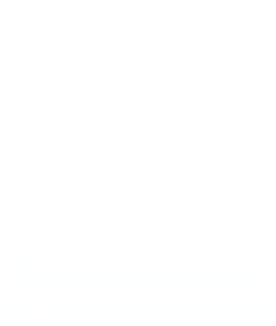 QAVS Main_Emblem REVERSED